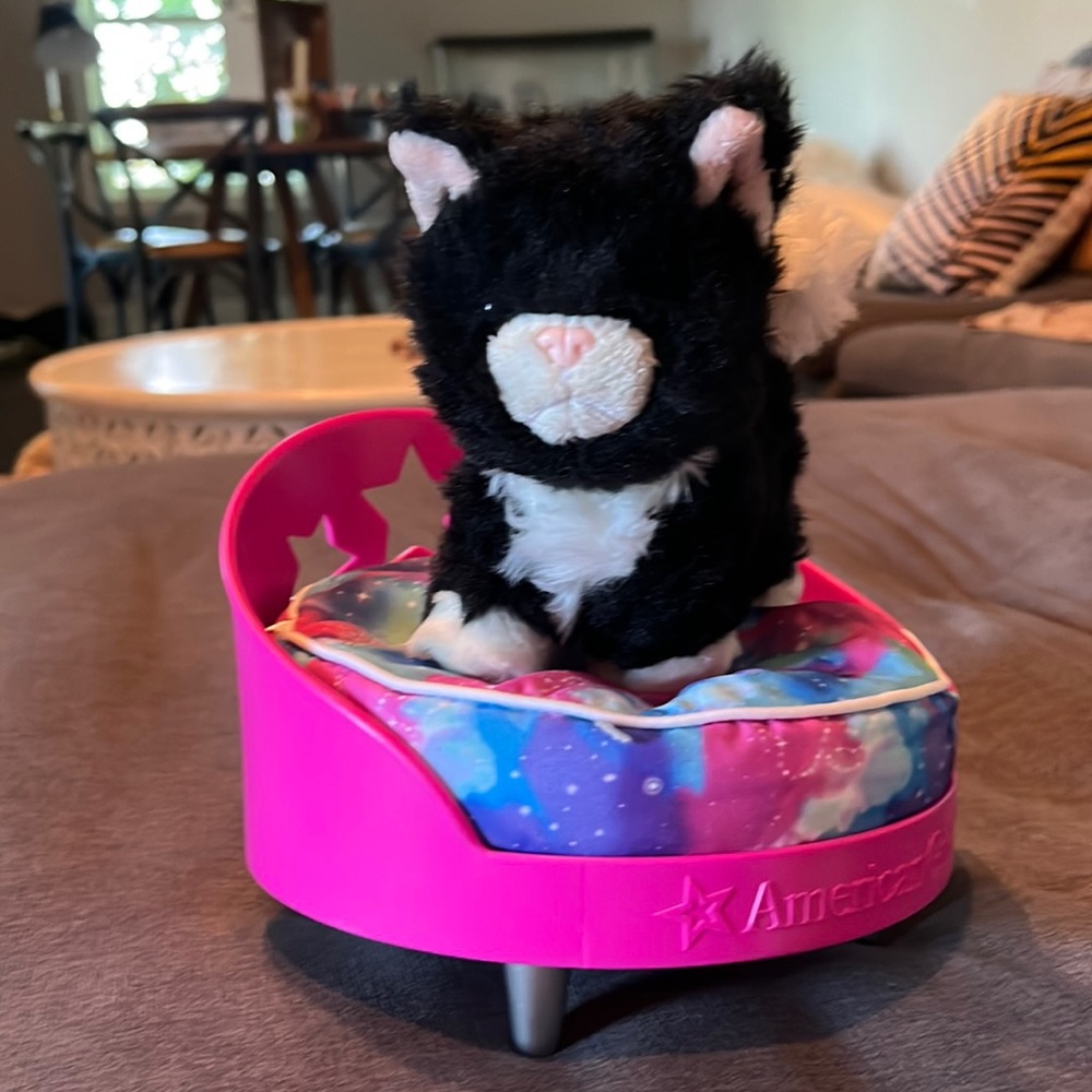 American Girl kitten and pet bed